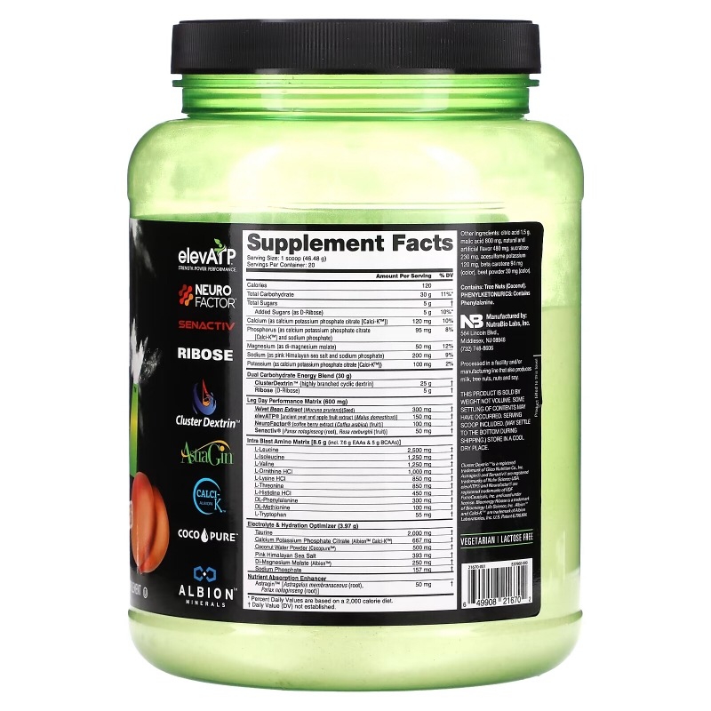 Nutrabio Labs, Intra Fuel, Leg Day, Intra Workout Powerhouse, Peachy Glutes Peach Mango, 2.05 lb (930 g)