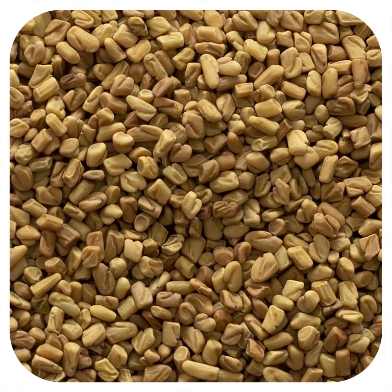 Frontier Co-op, Organic Whole Fenugreek Seed, 16 oz (453 g)